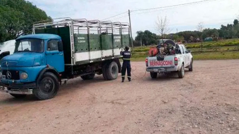 SENASA brindó recomendaciones para implementar en remates feria y exposiciones