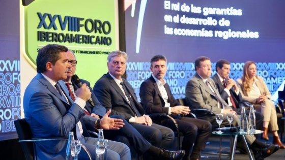 Orrego instó a la unidad y destacó políticas de financiamiento en foro iberoamericano