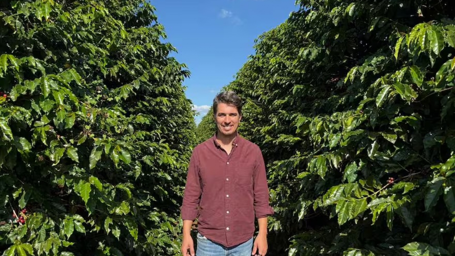 Beeflow, la startup argentina que impulsa la productividad agrícola con abejas y escala a nivel global