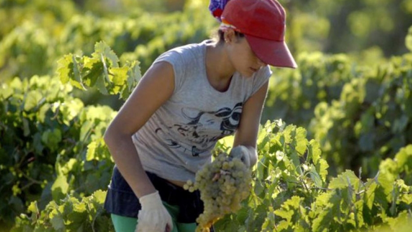 Mujeres, géneros y soberanía alimentaria, ejes del encuentro