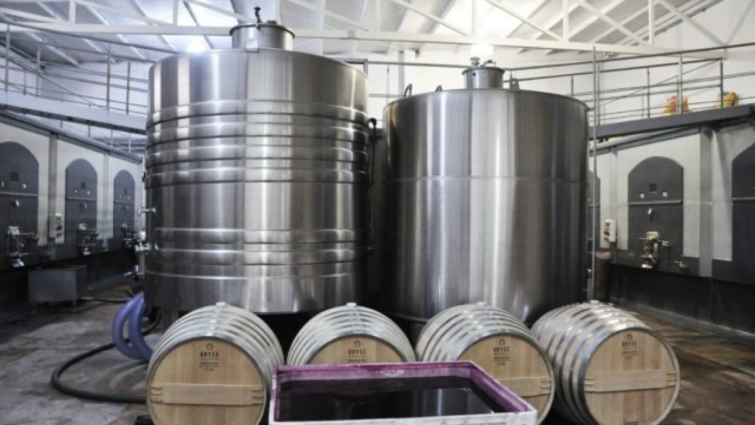 Vino argentino: cómo responder a la caída del consumo mundial