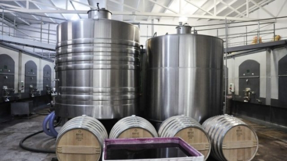 Vino argentino: cómo responder a la caída del consumo mundial