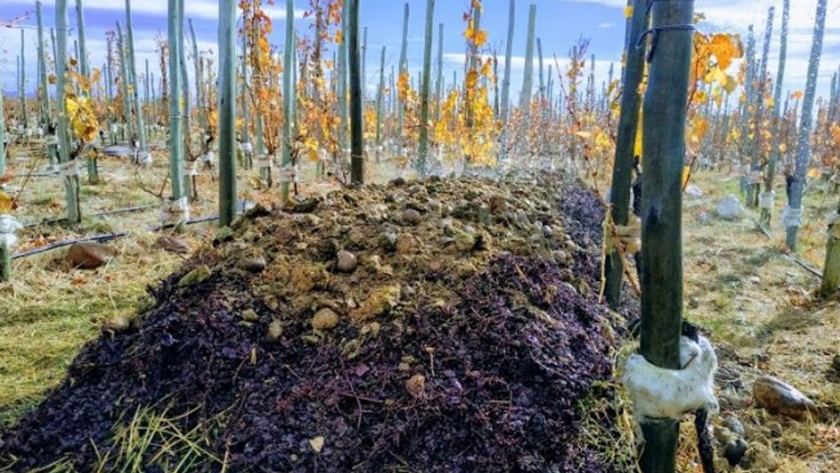 Superuco ganó el oro internacional por Mendoza de las Great Wine Capitals