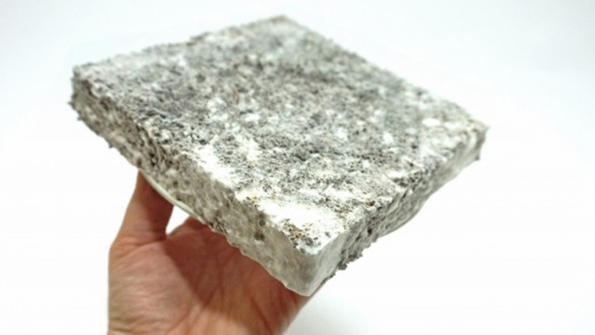 Desarrollan biomaterial que sustituye el plástico con materias primas forestales y hongos