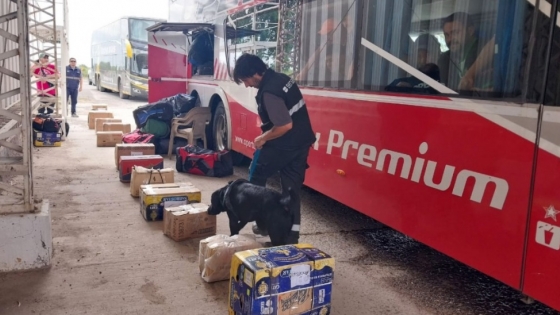 Se inspeccionaron más de 200 transportes de pasajeros en la Barrera Patagónica