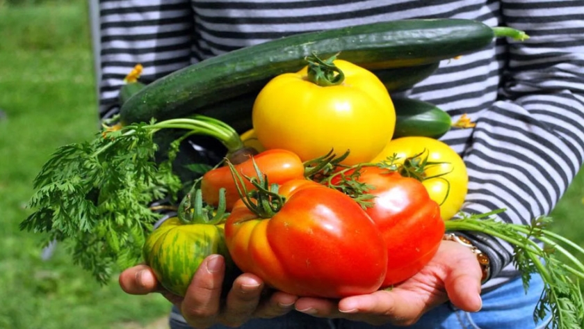 Un proyecto para cuidar los alimentos