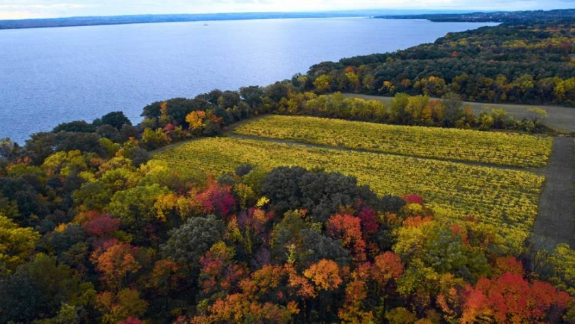 Finger Lakes, el nuevo destino de los amantes del vino 