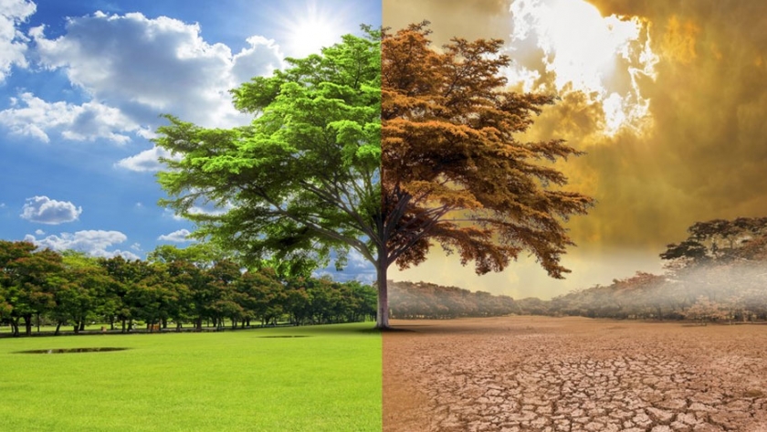 Reducir, reutilizar y reciclar. Una nueva mirada para mitigar el Cambio Climático