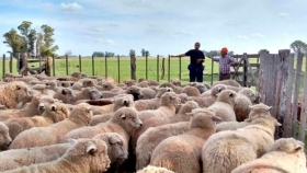 La Argentina exportará carne ovina con hueso congelado a China