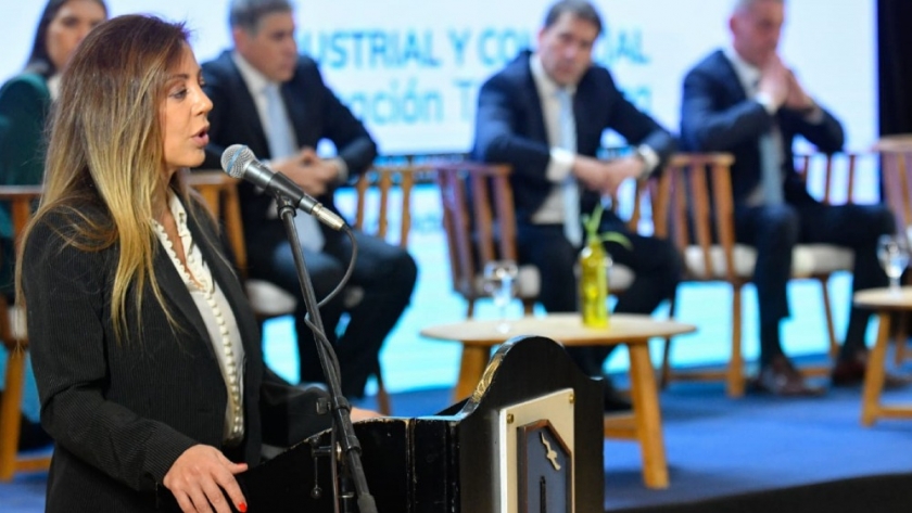 Royon participó del Primer Foro de Transición Energética en Chubut
