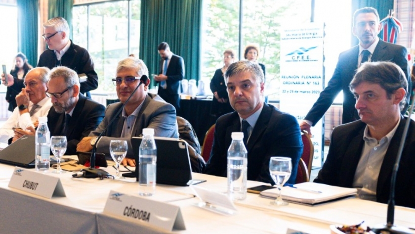 Chubut participó en Ushuaia de una nueva reunión plenaria del Consejo Federal de Energía Eléctrica