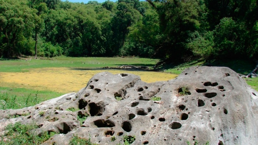 Parque Nacional El Rey