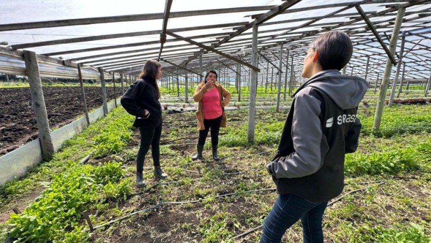 Mar del Plata: Asesoramiento a horticultores de la Agricultura Familiar