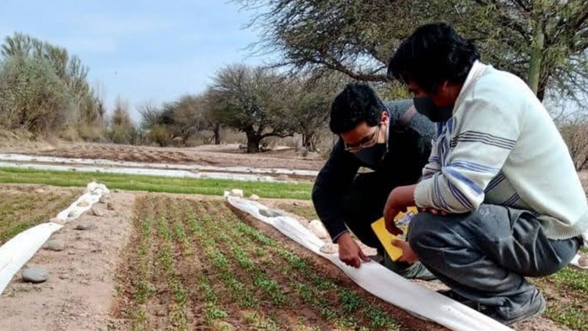 Se impulsará la agricultura familiar y generación de empleo a través el programa PROTAAL