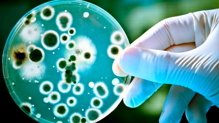 Bioetanol a partir de los gases generados en la fabricación de acero