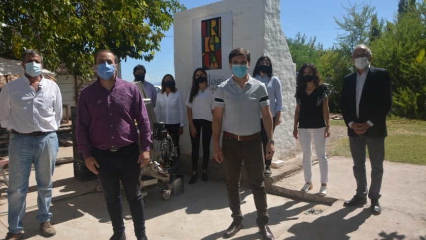 Celebran la Semana del Aceite Nuevo con diversas actividades