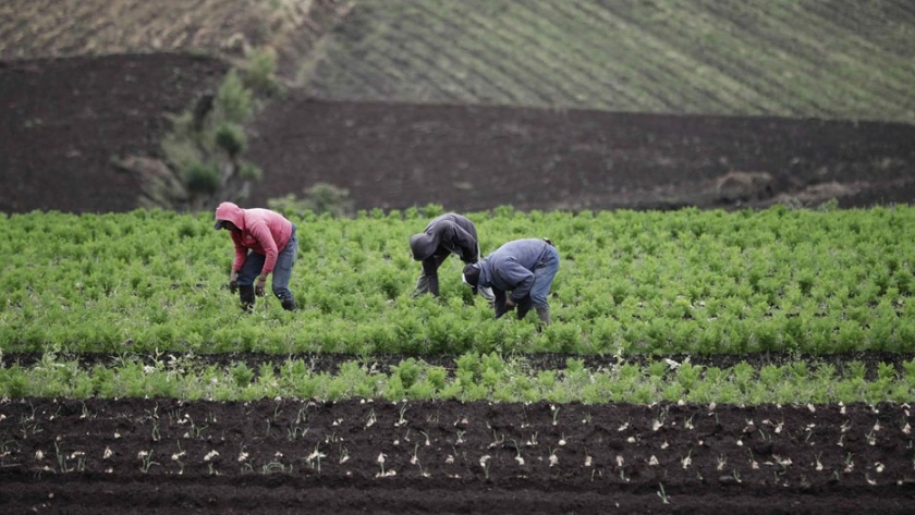Impulsan la adaptación de agricultores familiares al cambio climático en América