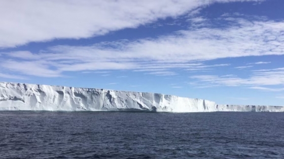 Neutrinos misteriosos: científicos investigan señales que emergen desde el hielo de la Antártida
