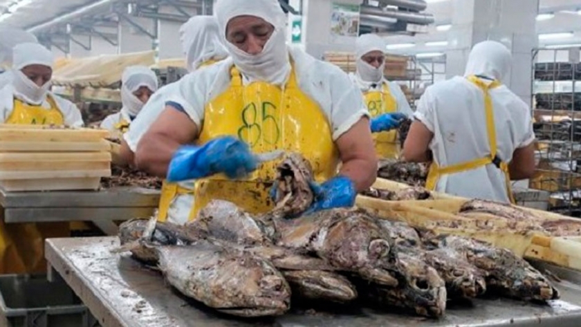 Lanzan en Ecuador un novedoso proyecto de pesca sostenible y digital para la reactivación económica tras el COVID-19