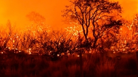 La Pampa: se anunció un programa de prevención de incendios forestales