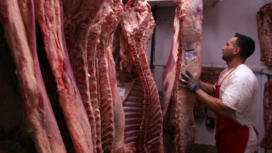 Exportadores de carne: un 2025 desafiante entre costos altos y un mercado global incierto