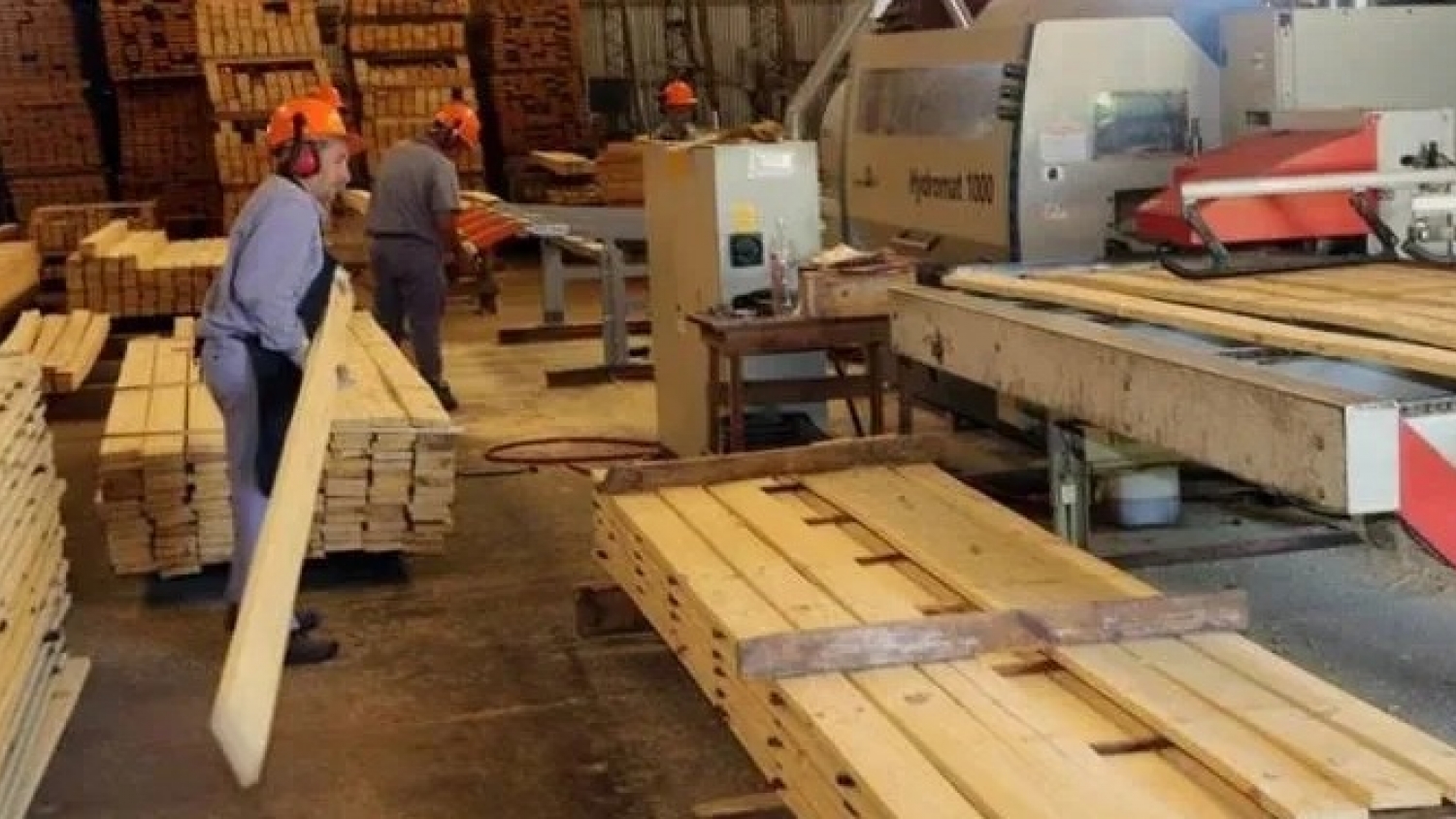 Una inversión de US$20 millones busca cambiar la industria maderera en Corrientes con una planta de alta tecnología