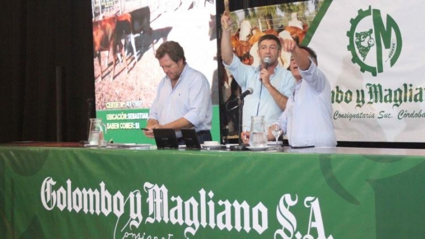 Santiago del Estero: Colombo y Magliano vende 11.500 cabezas