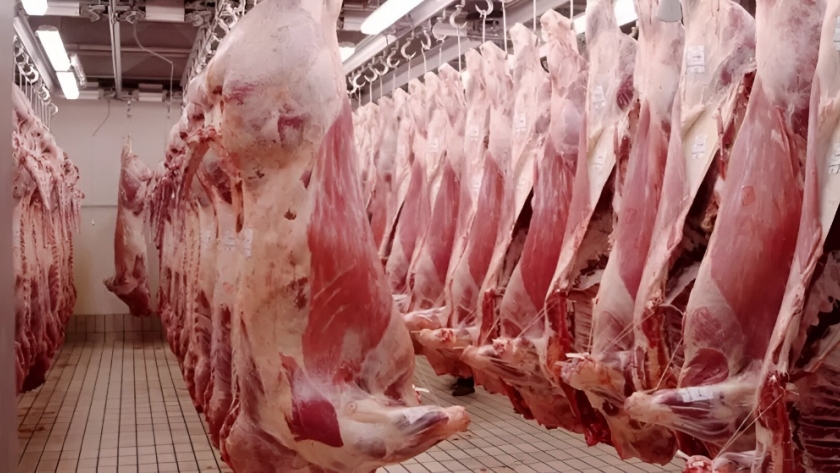 Cortes a la vista: la nueva medida de retenciones en la carne y su impacto en el mercado