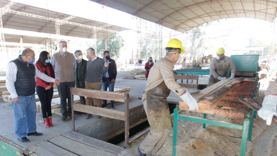 La industria maderera apuesta al empleo y a la bioenergía en Graneros  