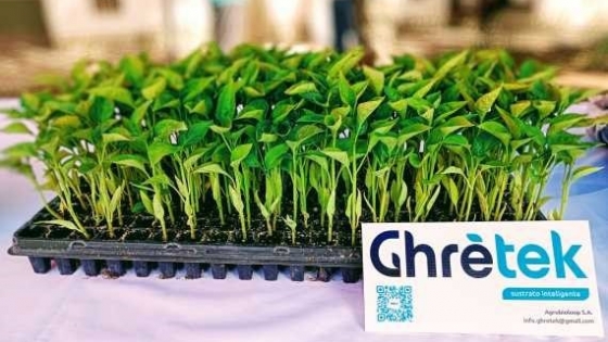 Ghrētek revoluciona la producción de plantines con sustratos inteligentes y sostenibles