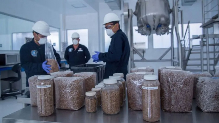 Apuesta méxico al conocimiento y la tecnología para superar retos en seguridad alimentaria: agricultura