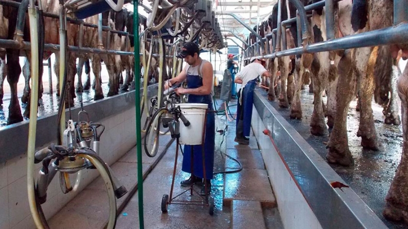La Industria Láctea no soportará un aumento de las retenciones