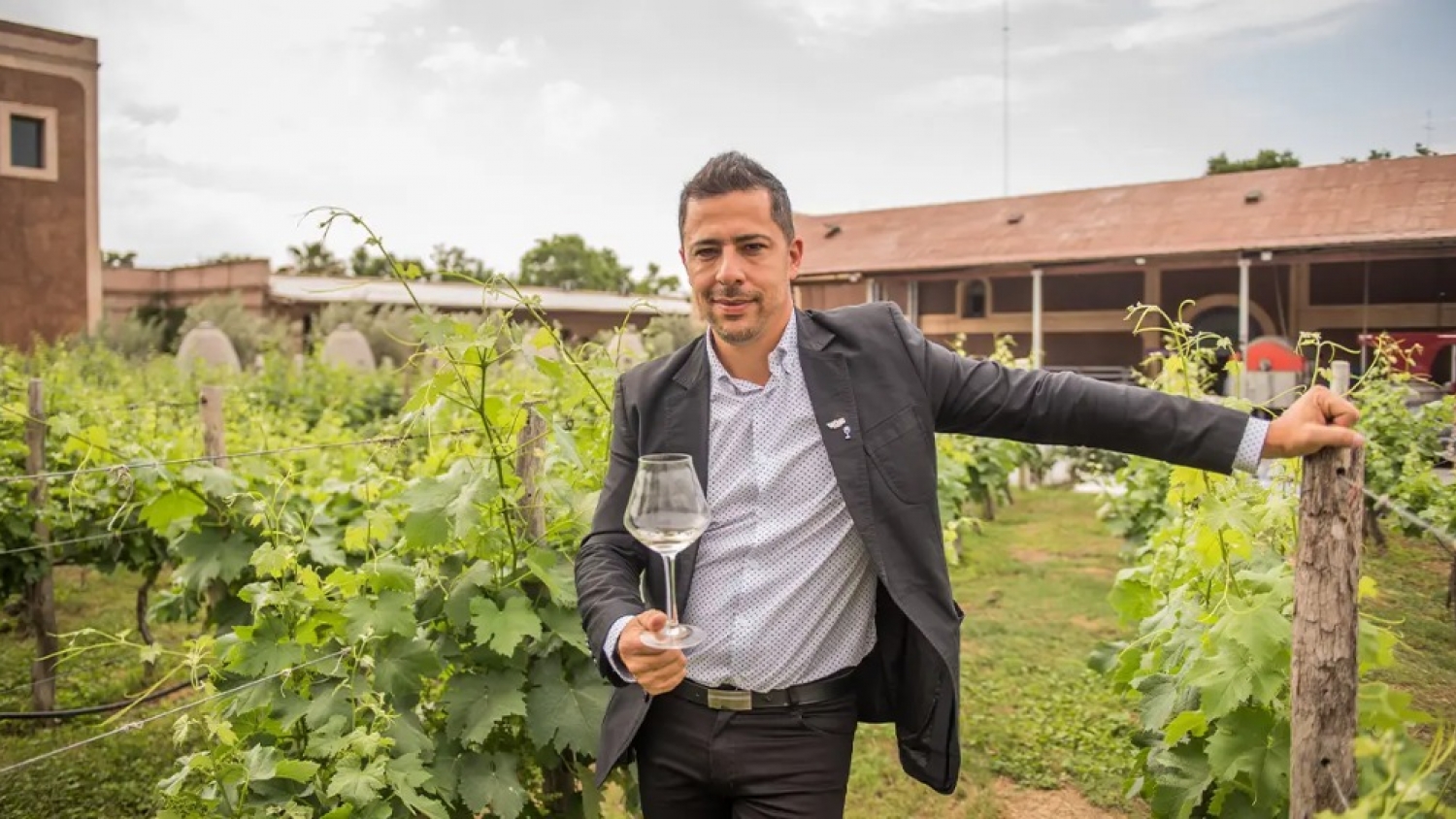 Del boom del Malbec a la era del consumo moderado: cómo cambió el negocio del vino en la última década
