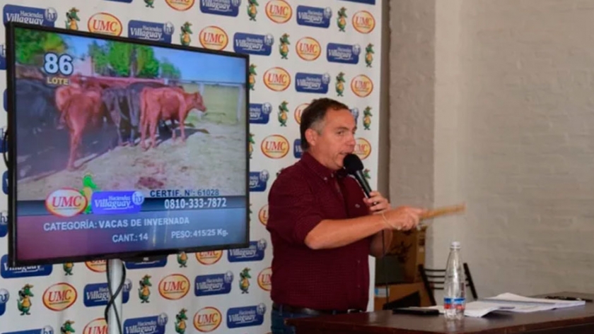 En un nuevo televisado, UMC y Haciendas Villaguay vendieron 4.500 cabezas