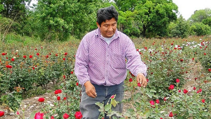 Extienden inscripción para asistencia a floricultores