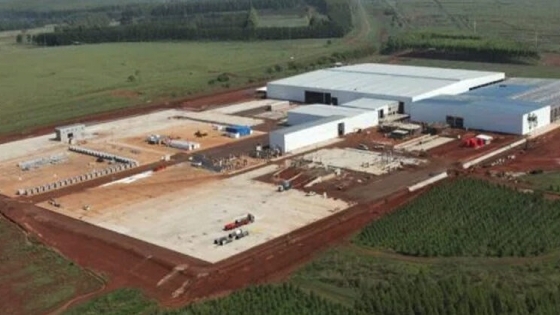 Corrientes : ACON TIMBER, el aserradero de HS Timber Group en Argentina ya comenzó su operación de prueba