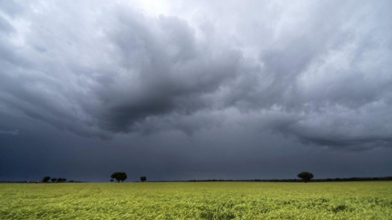 Córdoba registra lluvias récord y mejora la condición de trigo y garbanzo