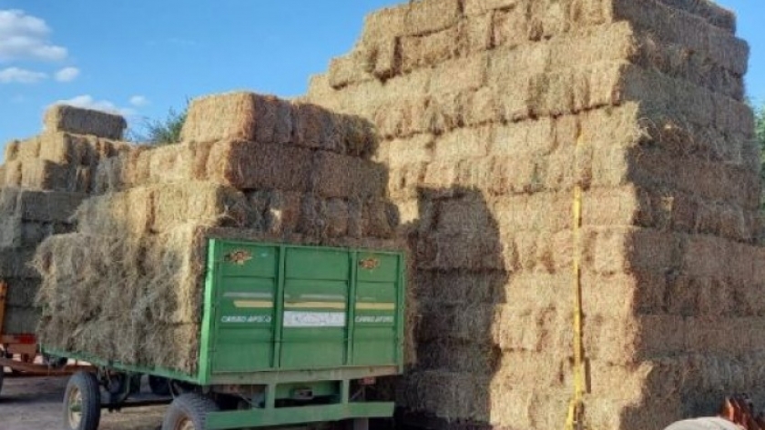 Empresas estatales ayudan a pequeños productores