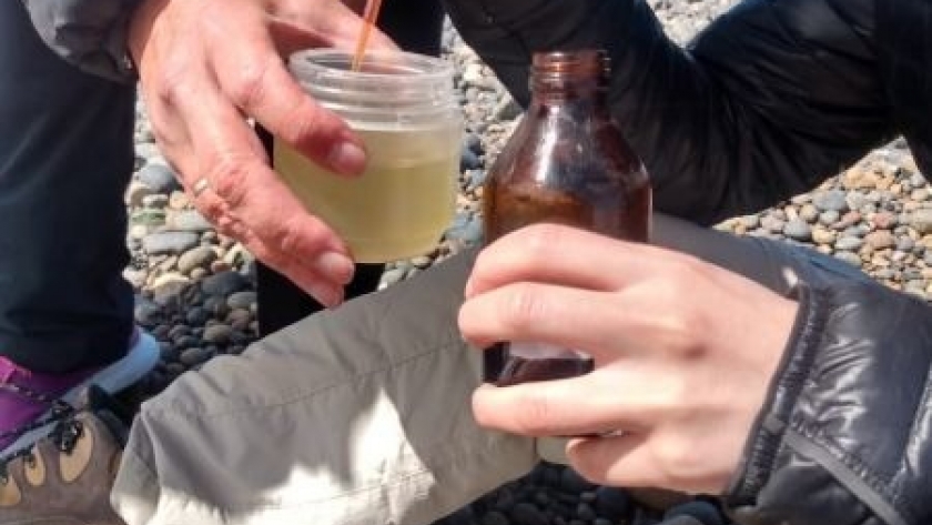 Técnicos de la Secretaría de Pesca se capacitaron sobre “Marea Roja”