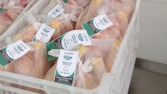 Cómo salió la primera faena de pollos habilitada de Neuquén