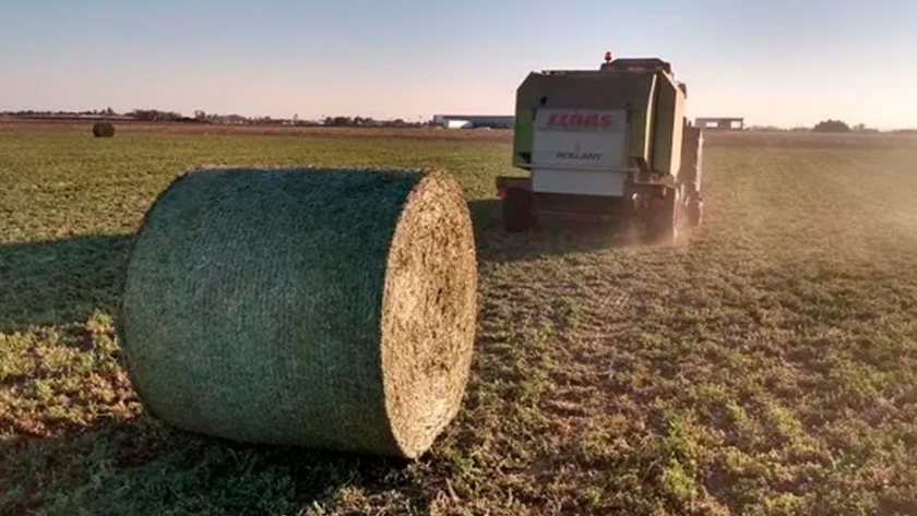 Cuatro claves para disminuir al máximo las pérdidas en la confección de rollos