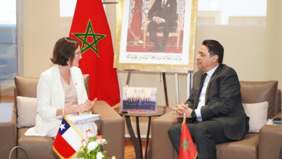 Chile acelera su expansión global: avanza un acuerdo histórico con Marruecos para abrir nuevas puertas en África