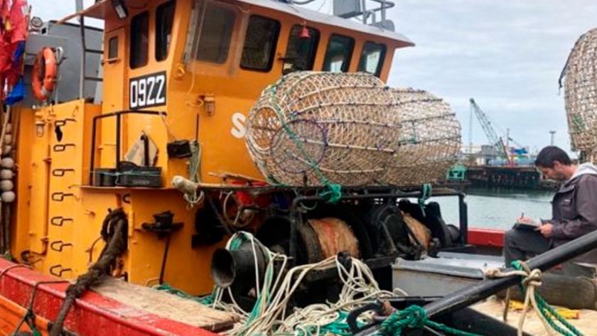 Cómo se controla la calidad del pescado