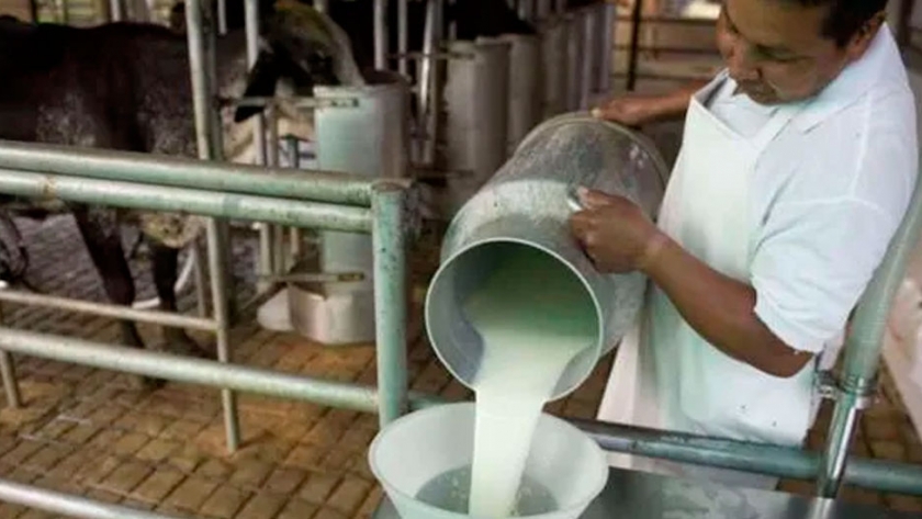 Argentina es el país que más aumentó su producción de leche a nivel mundial