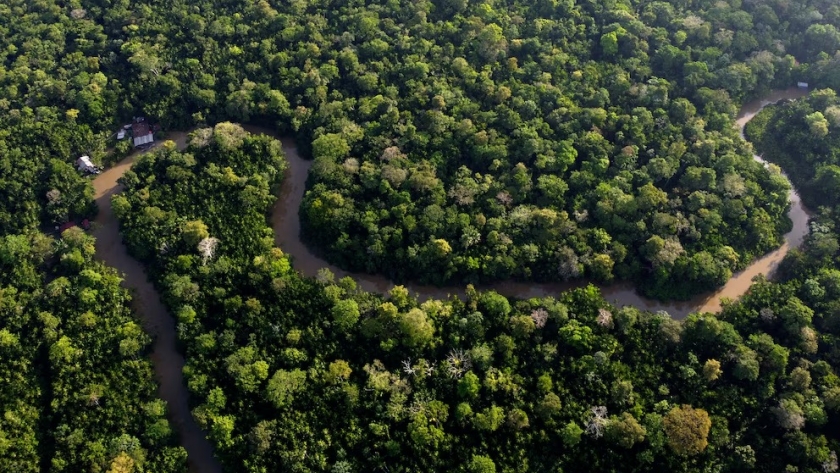 Radiografía de la Amazonía rumbo a la COP30: emisiones récord, pérdida de biodiversidad y presión extractiva