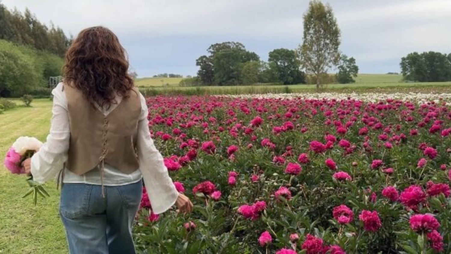 Del consultorio a floricultores: el proyecto de peonías que florece en las sierras de Tandil