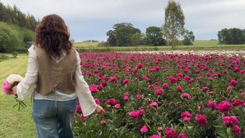 Del consultorio a floricultores: el proyecto de peonías que florece en las sierras de Tandil