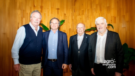 ¿Es importante hacer inteligencia de mercados?