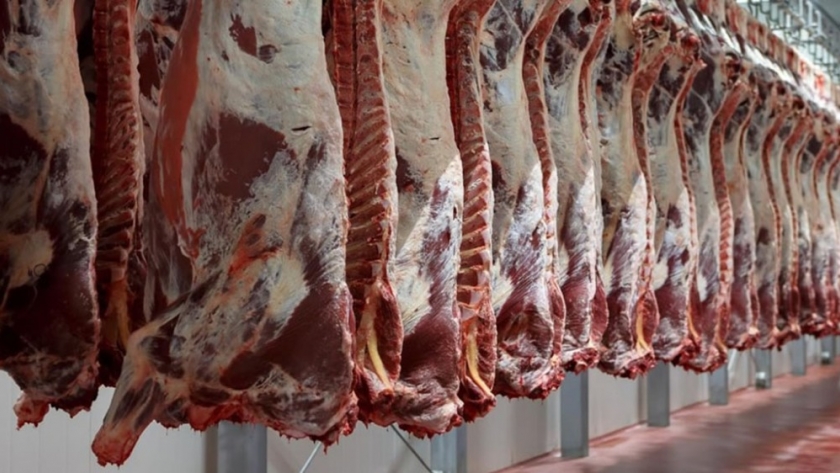 Marcado repunte en la faena bovina, con un crecimiento del 21% en julio