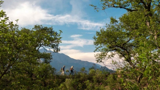 Jujuy, de punta a punta: la ruta que une la Quebrada de Humahuaca con las yungas a pie o en vehículo